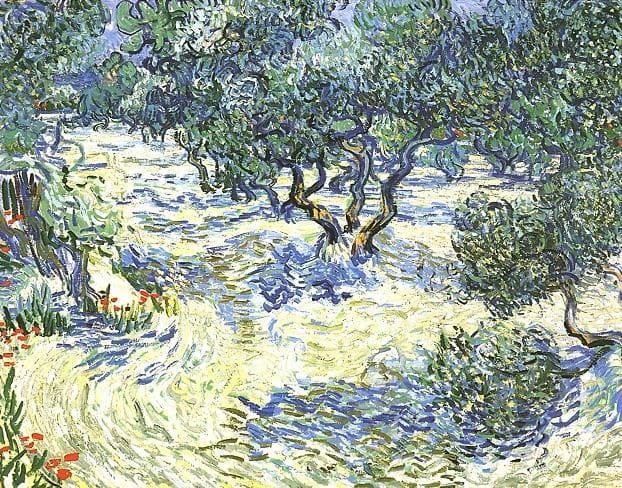 Plantation d'Oliviers 2 1889