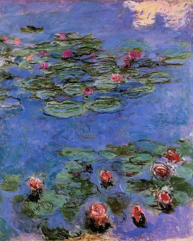 Red Water Lilies