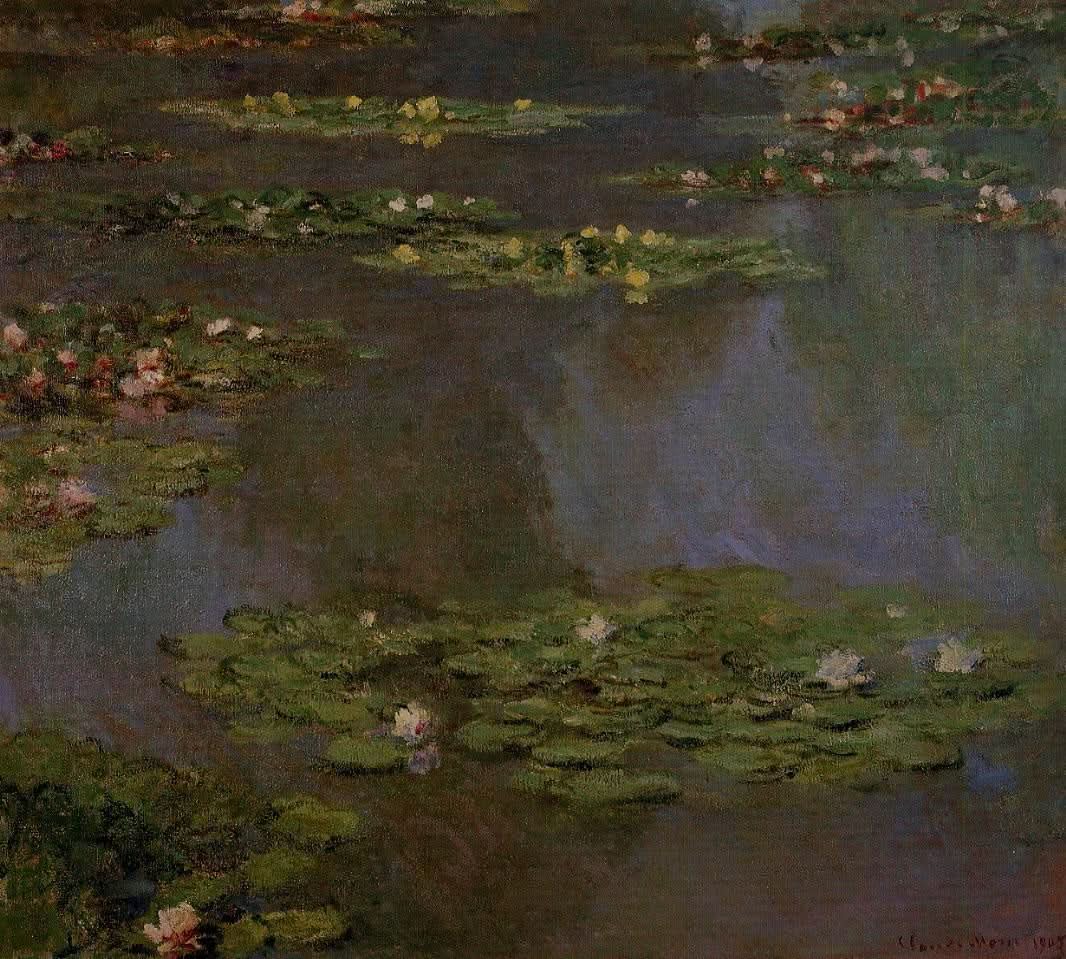 Water Lilies 05