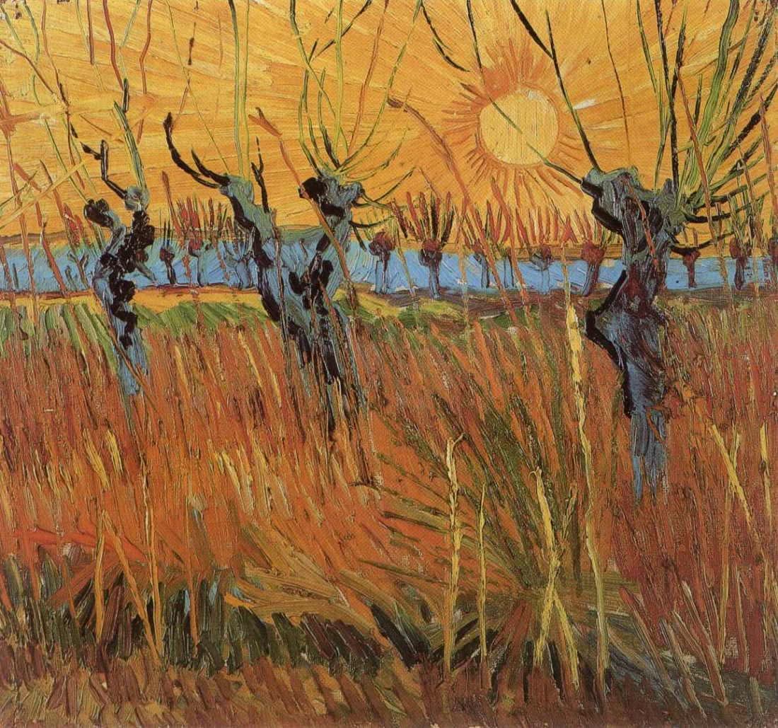Weiden bei Sonnenuntergang