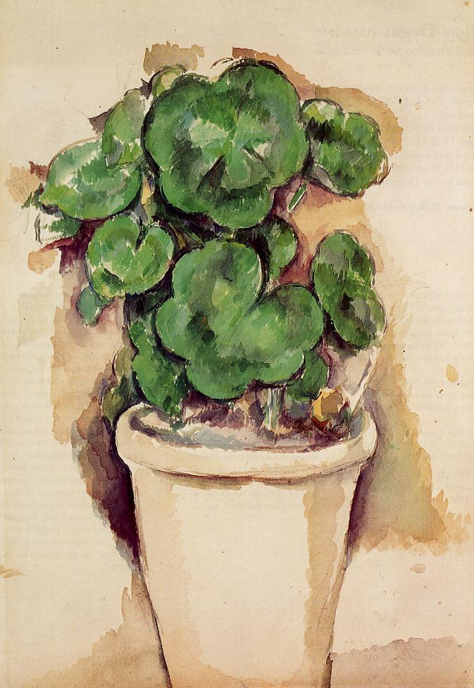A Pot of Geraniums