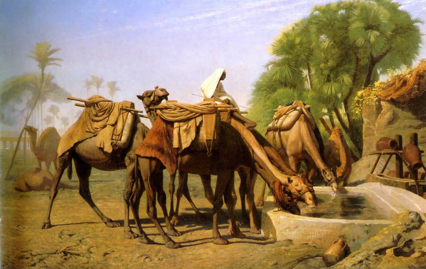 Camels at the Trough