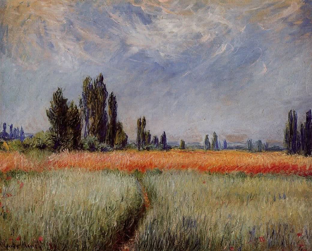 Maisfeld
