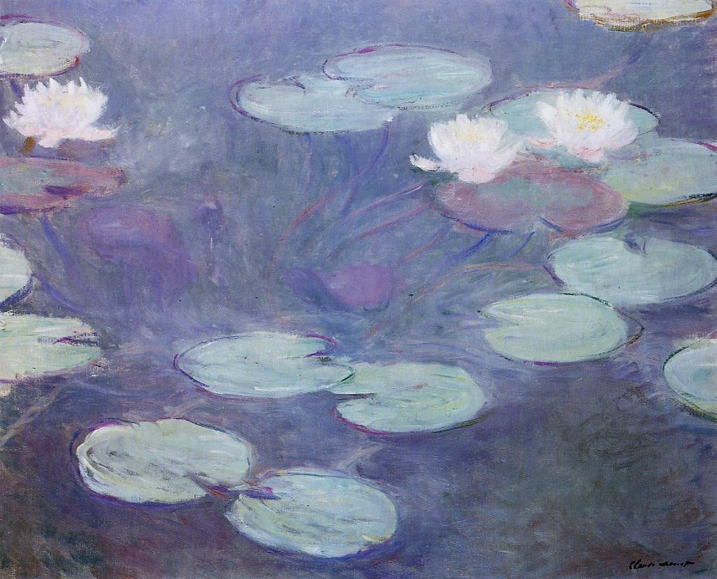 Pink Water Lilies