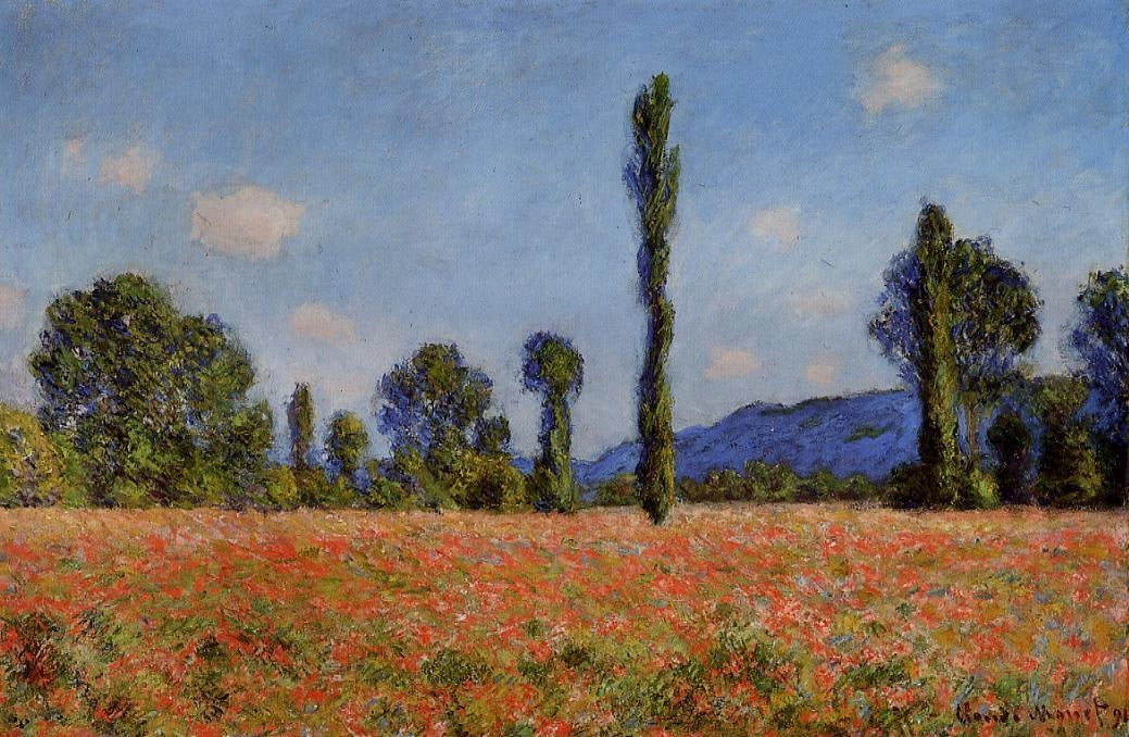 Poppy Field