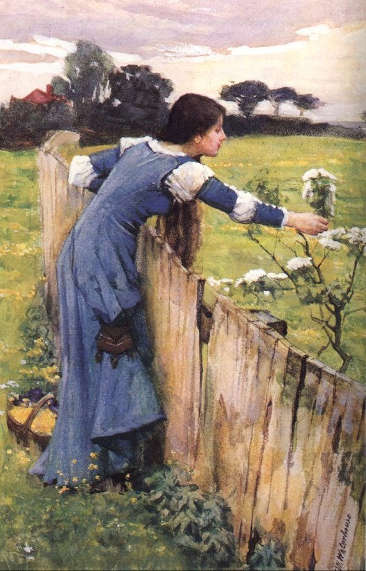 The Flower Picker