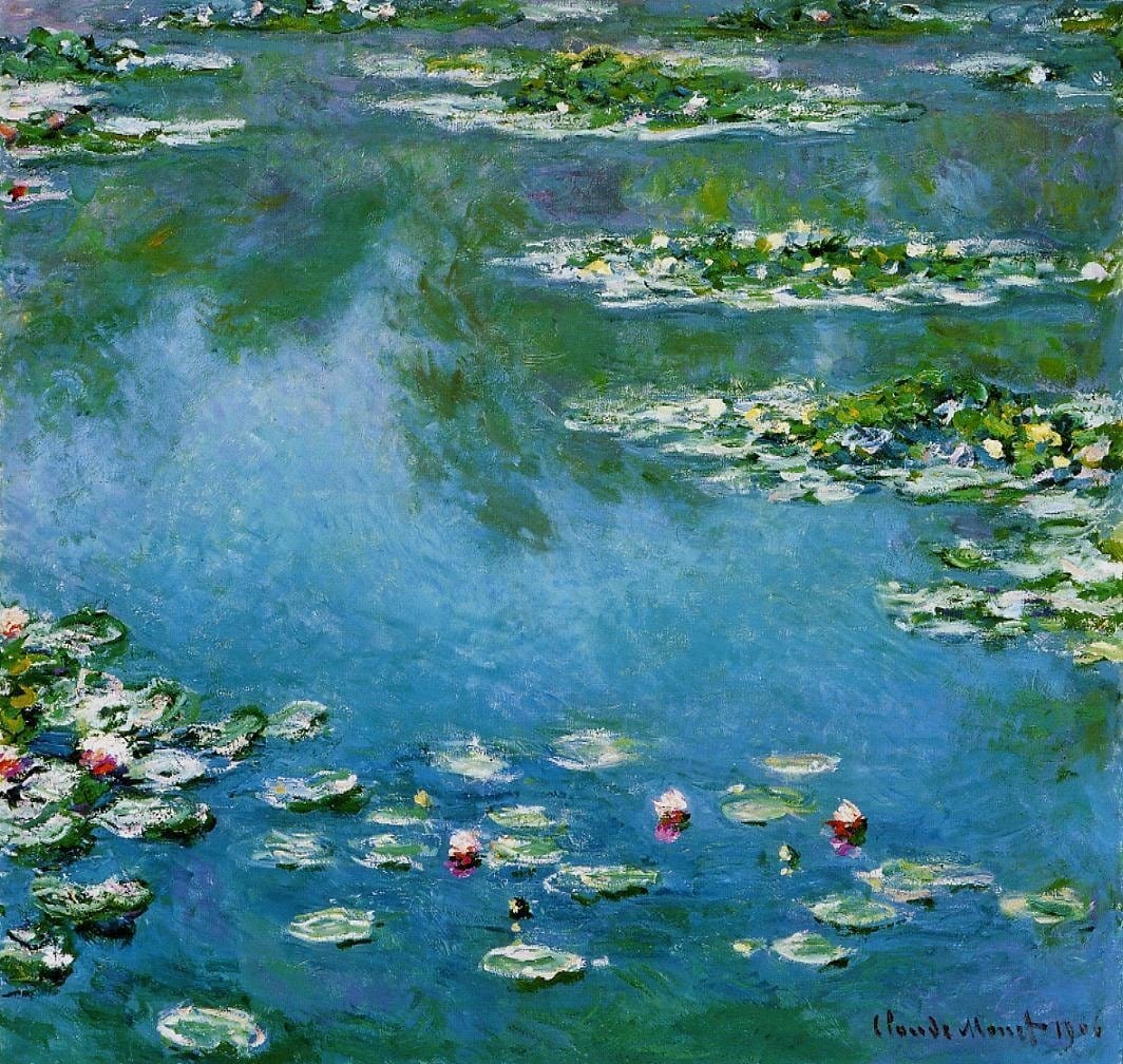 Water Lilies 22