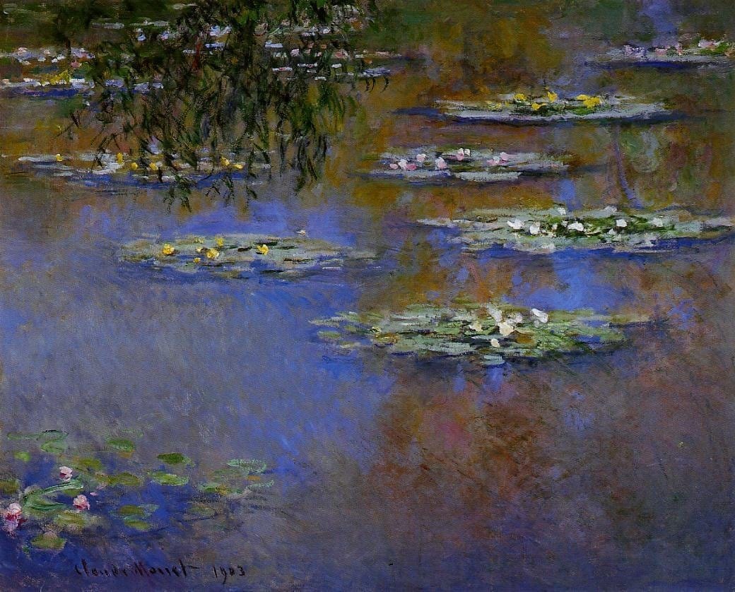 Water Lilies 33